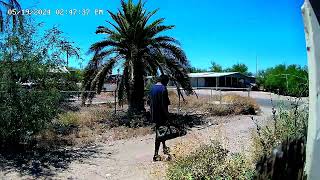 Duffel Bag Alley, Ajo, Arizona,  19 May 2024