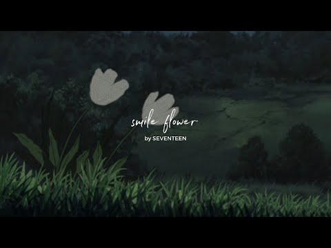 seventeen (세븐틴) | smile flower [eng lyrics]