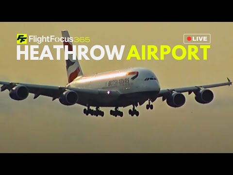 Heathrow Airport Live - Friday 25th July 2025