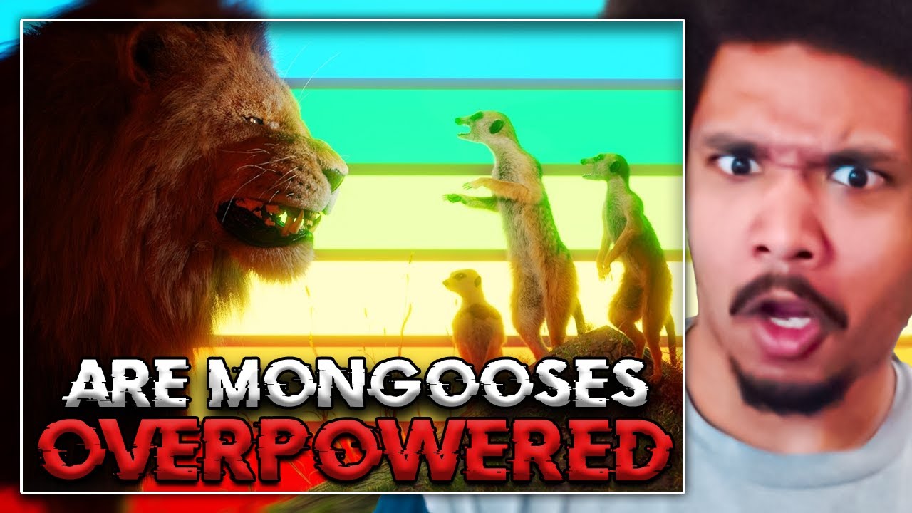 BlackNate Reacts To Are Mongooses OP?