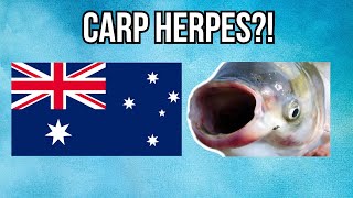 The Australian Government is Giving STD's to Fish