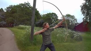 +120lb ash bow