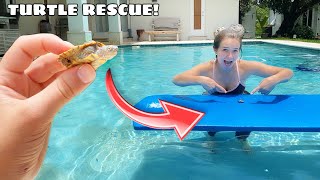 SAVING BABY TURTLE FROM CHLORINE INFESTED WATER!