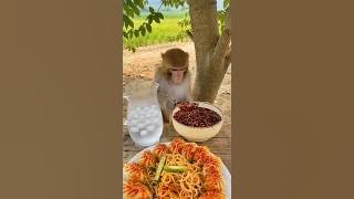 AI Funniest Monkey Moment Ever! 🇺🇸🇬🇧 #FunnyMonkey # #AnimalComedy #UKfunny #ViralVideo #Reels