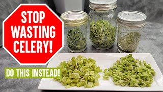 Don't Let Celery Languish in your Fridge again! Dehydrated Celery | Whatever Seasoning