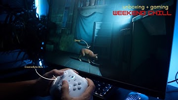 a great budget gamepad 🎮 and a good game 🐈 | CosmicByte Blitz | Stray