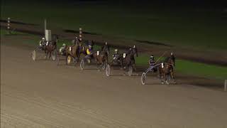 Vidéo de la course PMU PAYDAY WINNER MILE (INTERNET)