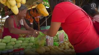 OCOP Philippines: Smallholder mango farmers look forward to the sweet taste of success