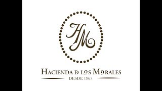 Mejores Momentos Hdlm