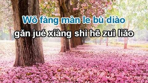 Má lúm đồng tiền karaoke beat 小酒窝伴奏