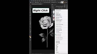 Watch a Rose Turn GOLD in Photoshop! ✨ #adobephotoshop #photoshop