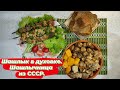 Шашлык из двух видов мяса в духовке. Шашлычница с приветом из СССР.