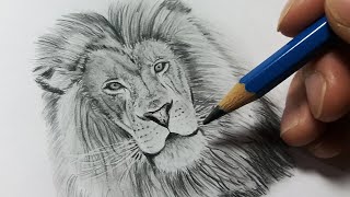 Como Dibujar Un LEÓN 🦁🦁🦁
