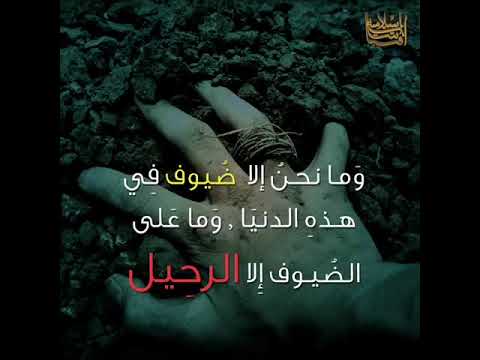 لماذا نعيش سوال وجوابه