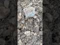Large Scraper? #arrowhead #arrowheadhunting #nativeamerican #artifact #artifacthunting #rockhounding
