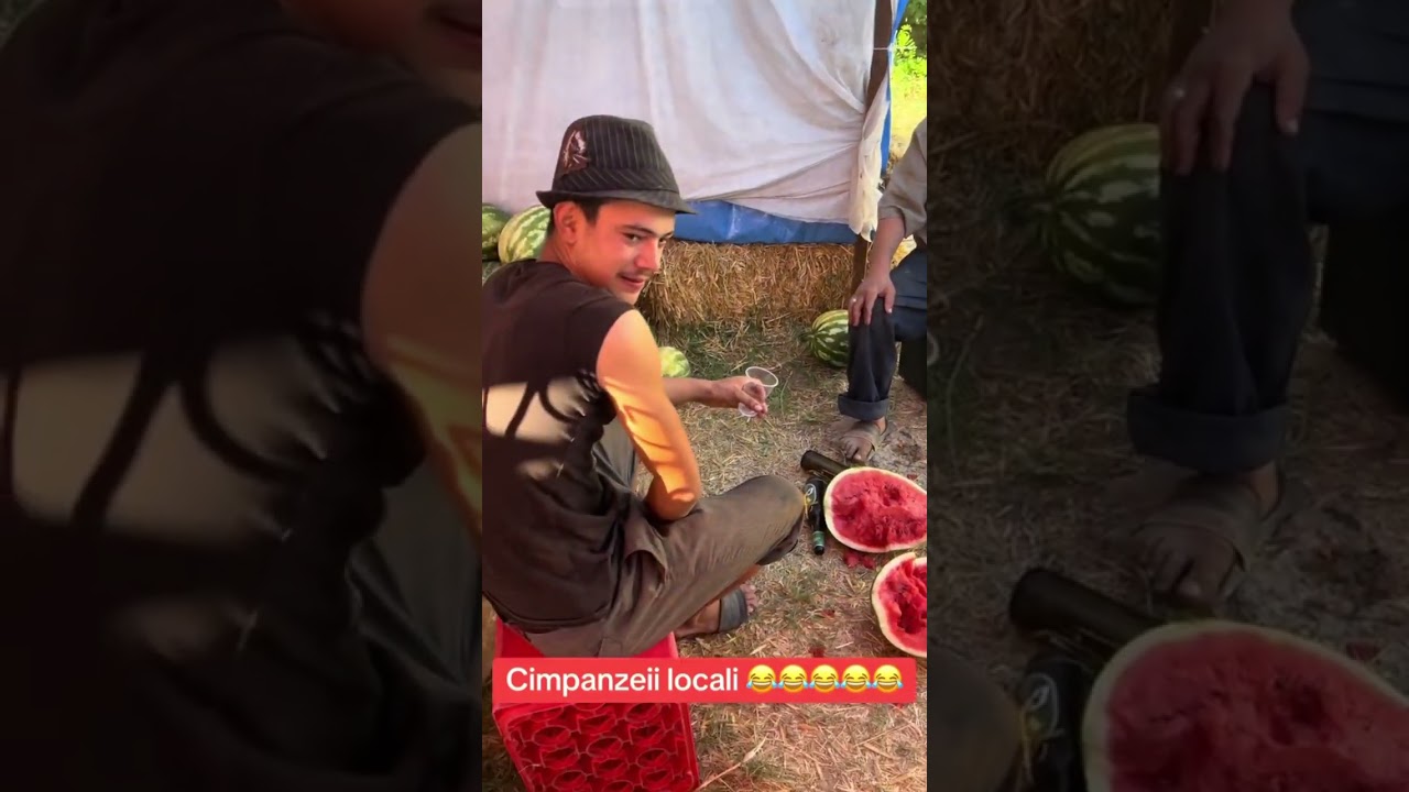 FAZE AMUZANTE CU SATRA #romania #funny 