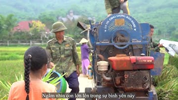 Ngày mùa - Trải nghiệm gặt lúa trên cánh đồng quê hương.