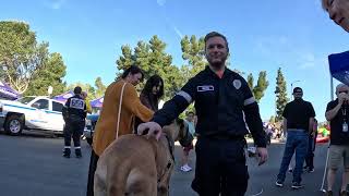 Cash 2.0 Great Dane at the LAPD Devonshire Division Pancake Breakfast Event 2023 (1 of 5)