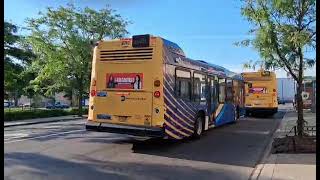 NYCT Bus: 2019 Novabus lfs #8742 on the Bx26 /  2021 Novabus lfs #9772 on the Bx30