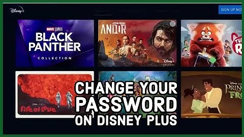 How to Change Your Password on Disney Plus? Remove Your Password on Disney Plus on PC 2024