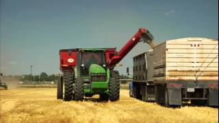 Why We're Interested in the Food and Beverage Industry