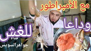 وداعا لغش الكابوريا. أشتري من أمبراطور الكابوريا بالتخصص الكابورياالصاحية  أمام عينك.