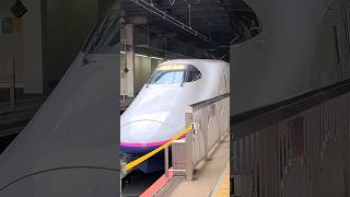 【東北新幹線】E2系新幹線が大宮駅を発車するシーン