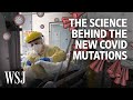 The Coronavirus Is Mutating. Here’s What We Know | WSJ