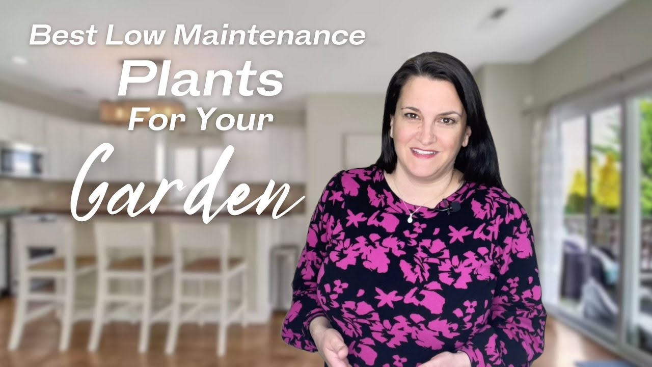 🌼 Best Low Maintenance Plants for Your Garden