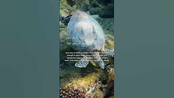 سورة النساء، آية 124-126 | Surah An-Nisa, verse 124–126