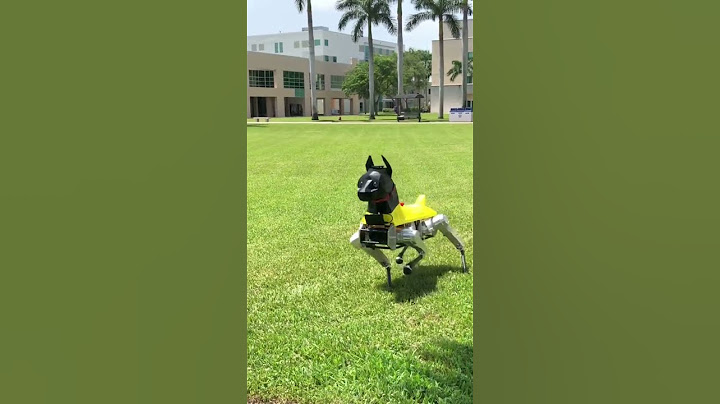 Robot Dog Out of Control!