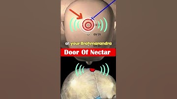 How Sexual Energy Converted To Ultimate Reality - Kundalini Yoga #spirituality #facts