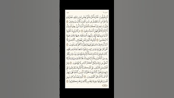 الورد اليومي: 4 صفحات (221-222-223-224) لتجنب هجر القرآن | تذكير يومي مستمر #قرآن #تلاوة