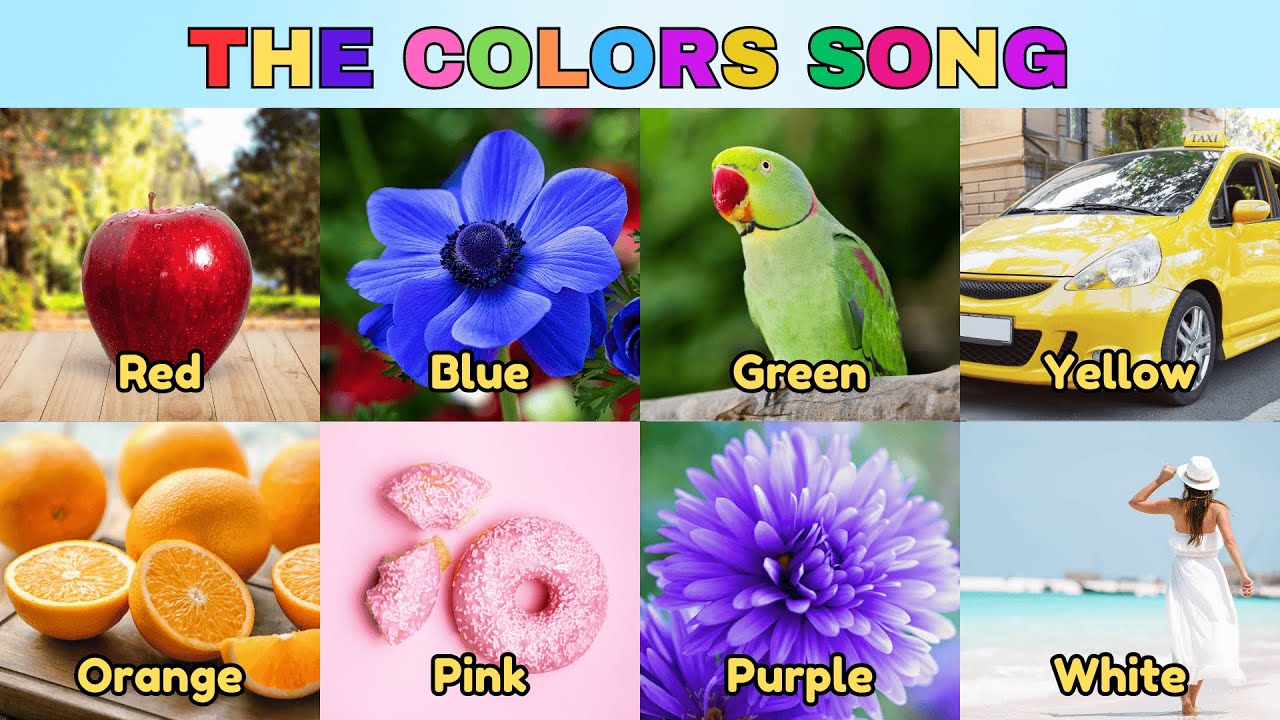 Learn Colors for Kids 🌈🎶 | Fun Color Song for Toddlers & Preschoolers ...