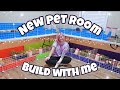 I moved  new pet room build   vlog 