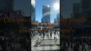 Where in the world? #travel #fyp #world #trip #blog #holiday #tourism #japan #tokyo #shibuya #city