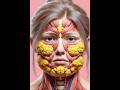 This is what happens inside your face when fat reduces. #science #education #3danimation #shorts