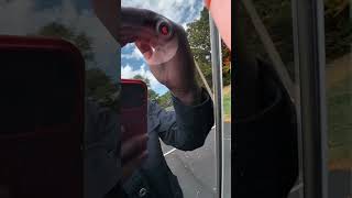Tesla hack 😭 #automobile #tesla #shots
