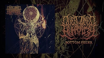 Questioned By Humanity - Bottom Feeder (Official Stream Video)