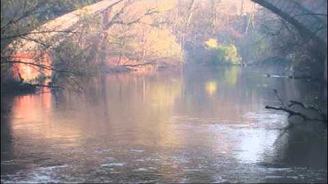 It Had to Be You- Cleveden String Quartet