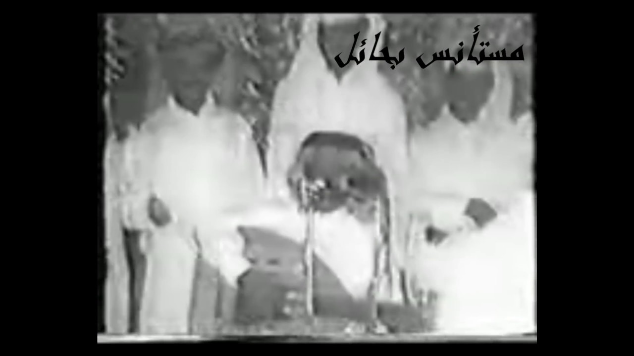 فهدبن سعيدطايرات الميج ــ حفلة الخالديه ــ فيديو