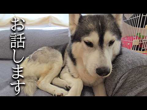 本当に怖い事がありました...