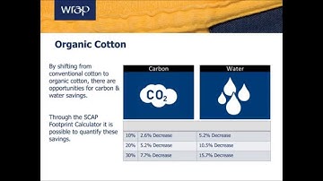 Bite-Sized: Introduction to Sustainable Fibres - Organic Cotton