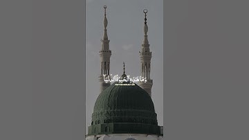 تلاوة الشيخ #ياسرالدوسري  #تلاوة_خاشعة #تلاوات_نادرة #القرآن_الكريم #تلاوة_هادئة #القرآن #اكسبلور