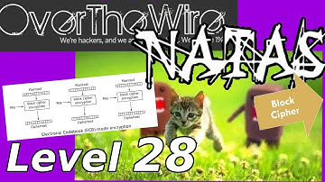 ECB Encryption / Python Web Hacking | Natas: OverTheWire (Level 28)