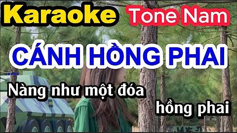 Cánh Hồng Phai Karaoke Tone Nam Nhạc Sống