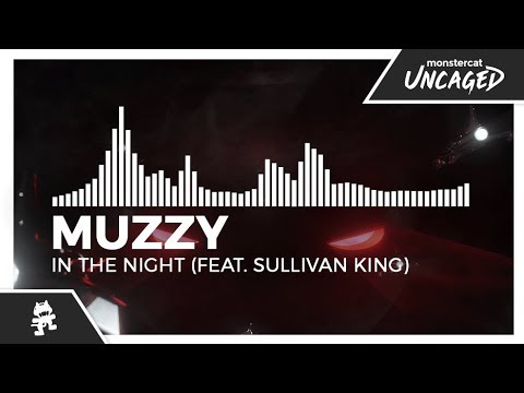 In The Night (feat. Sullivan King)