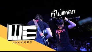 S.D.F - สนุกพอหรือยัง (Black Official Lyrics Video) chords