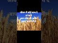 #punjabisong #punjabimusic #slowedandreverb #song #newsong #mashup #hiphop #reverb #Bapu zimidar🌾🌾