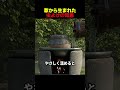 草から生まれた虫よけの知恵